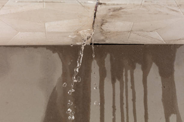 Professional Burst Pipe Cleanup technician working in Morgantown, IN